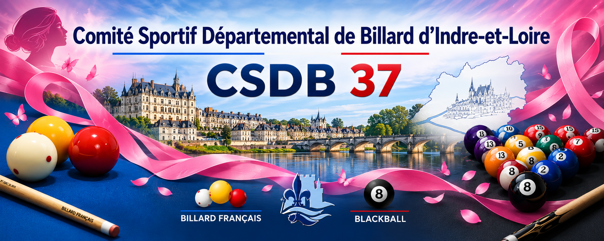 Comité Sportif Départemental de Billard d'Indre-et-Loire